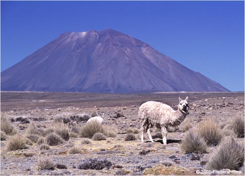 El Misti Volcano,  Arequipa