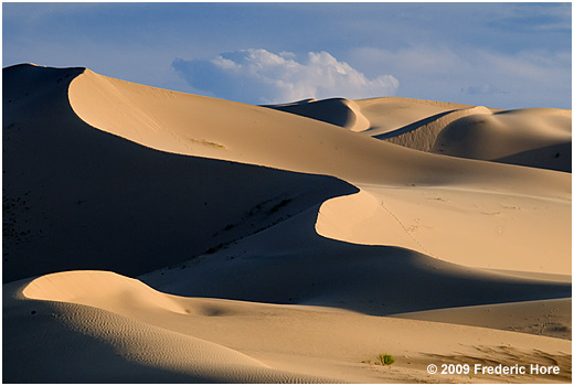 Hongoryn Els, Gobi Desert